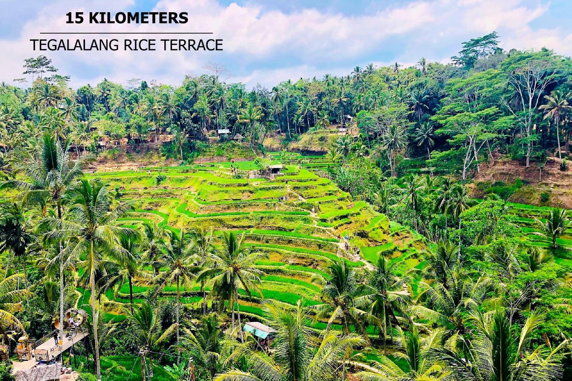 Green Flow Ubud Villas III ภายนอก รูปภาพ