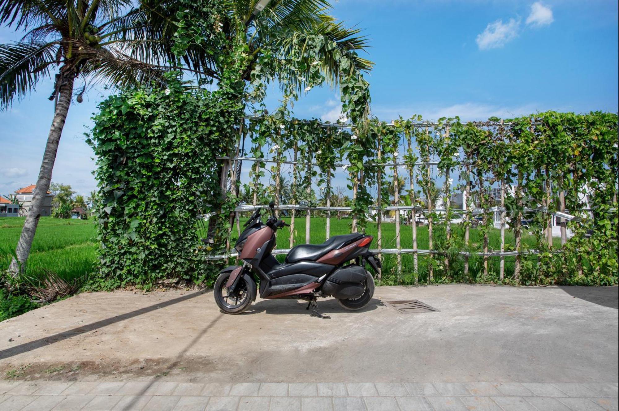 Green Flow Ubud Villas III ห้อง รูปภาพ