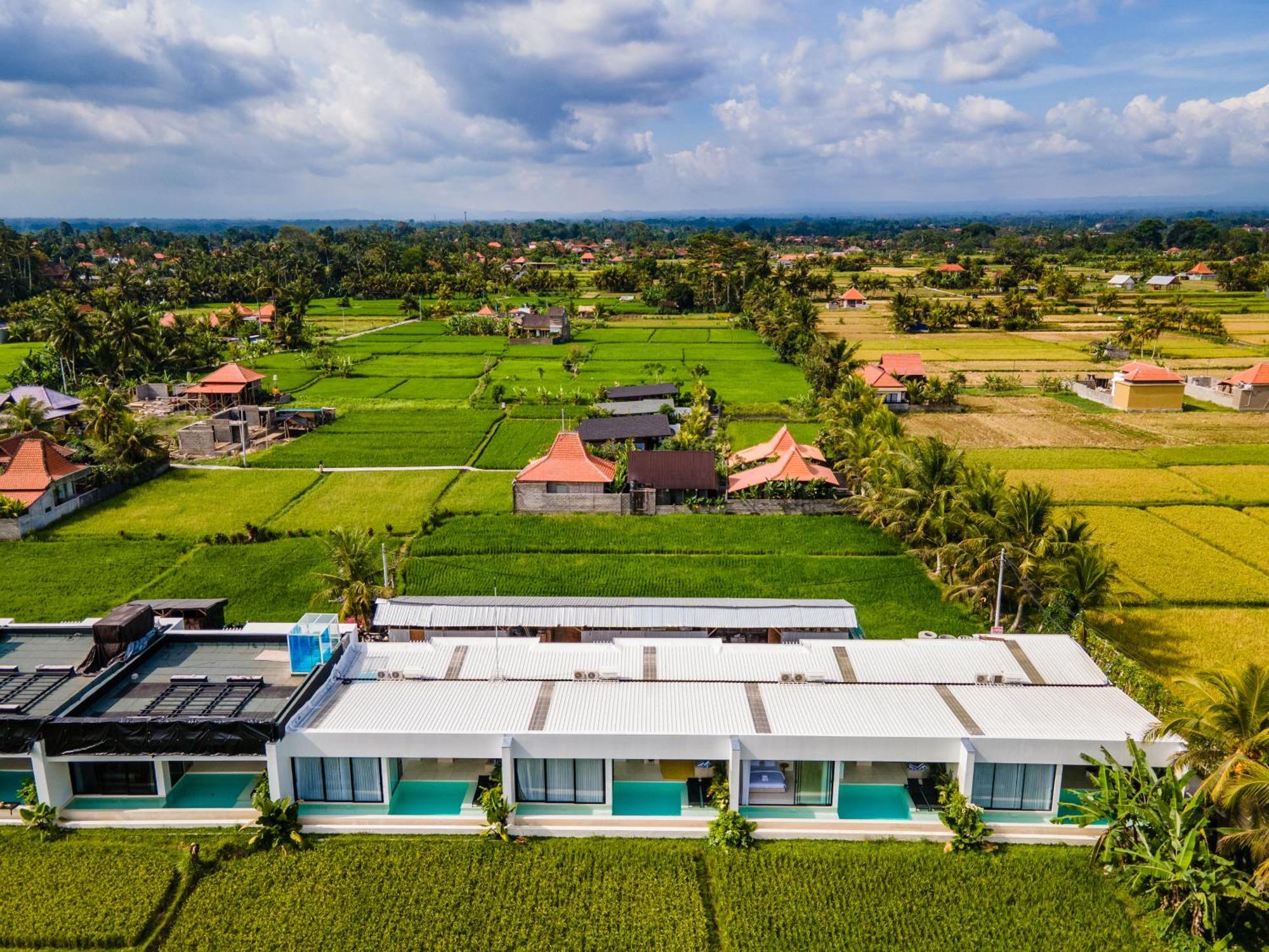 Green Flow Ubud Villas III ห้อง รูปภาพ